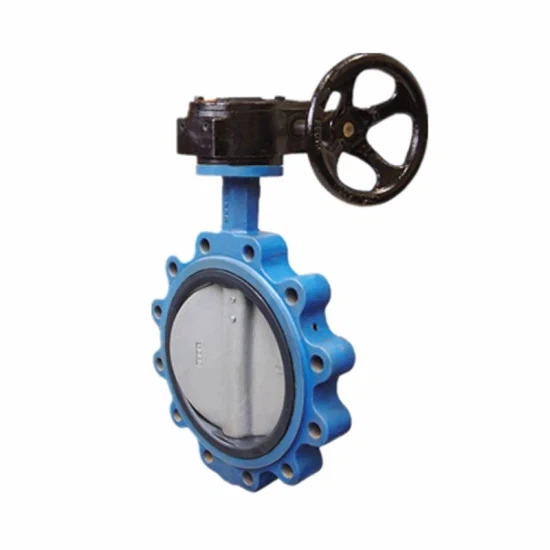 10-Inch-Pn10-Pn16-Ductile-Iron-Lug-Style-Butterfly-Valve-with-Gear-Box 1